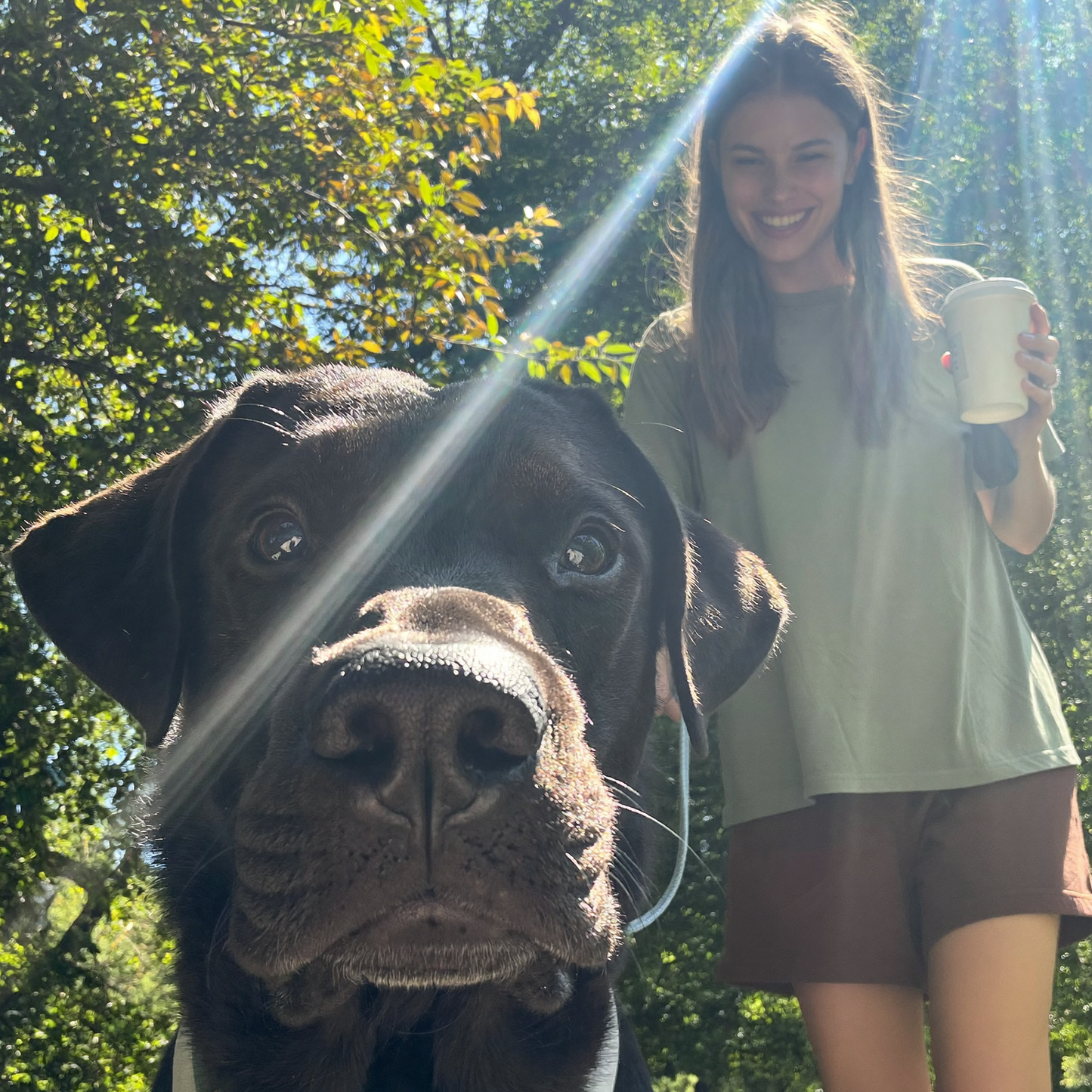 In 7 Tagen zum CoffeeWalk E-Book