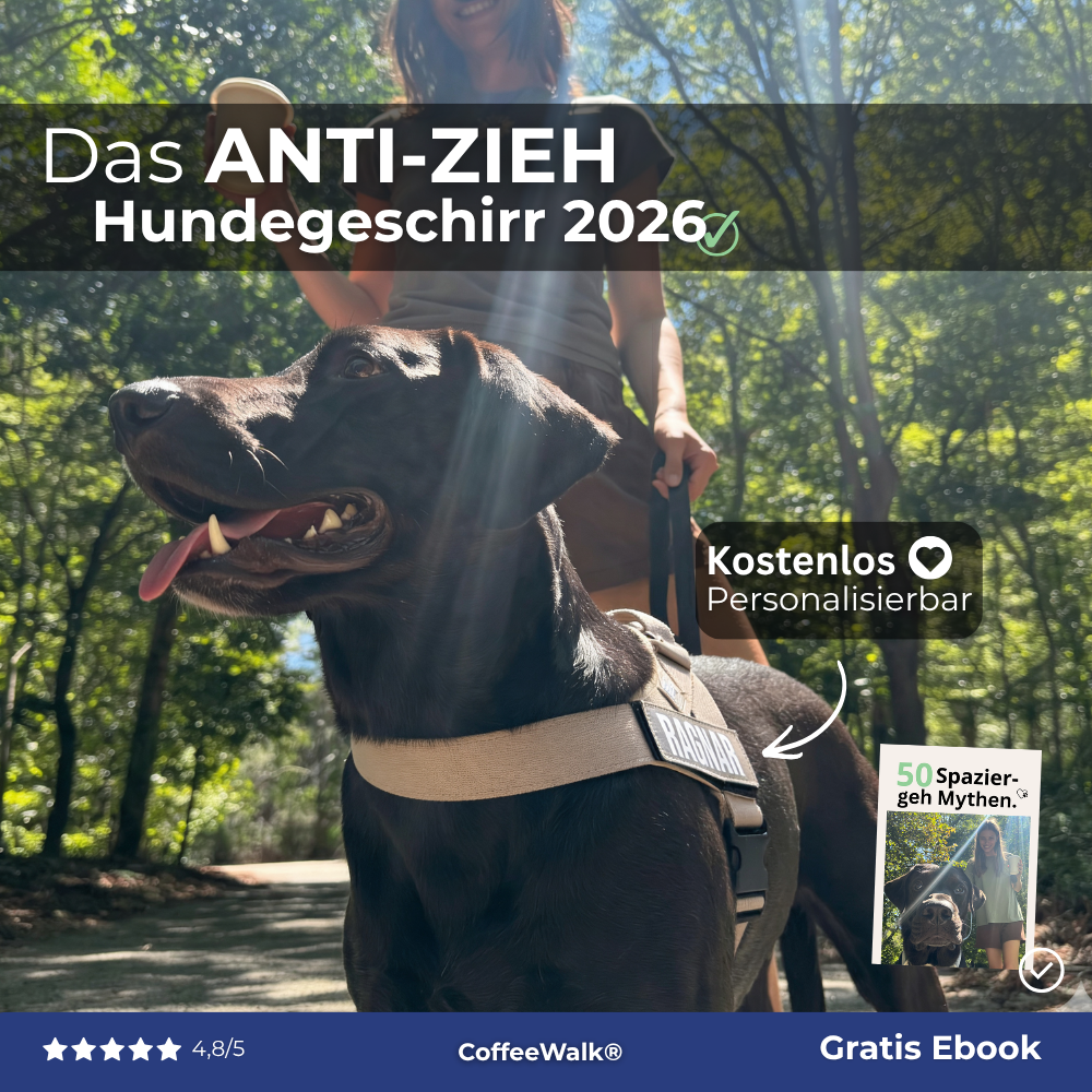 CoffeeWalk Anti-Zieh-Geschirr