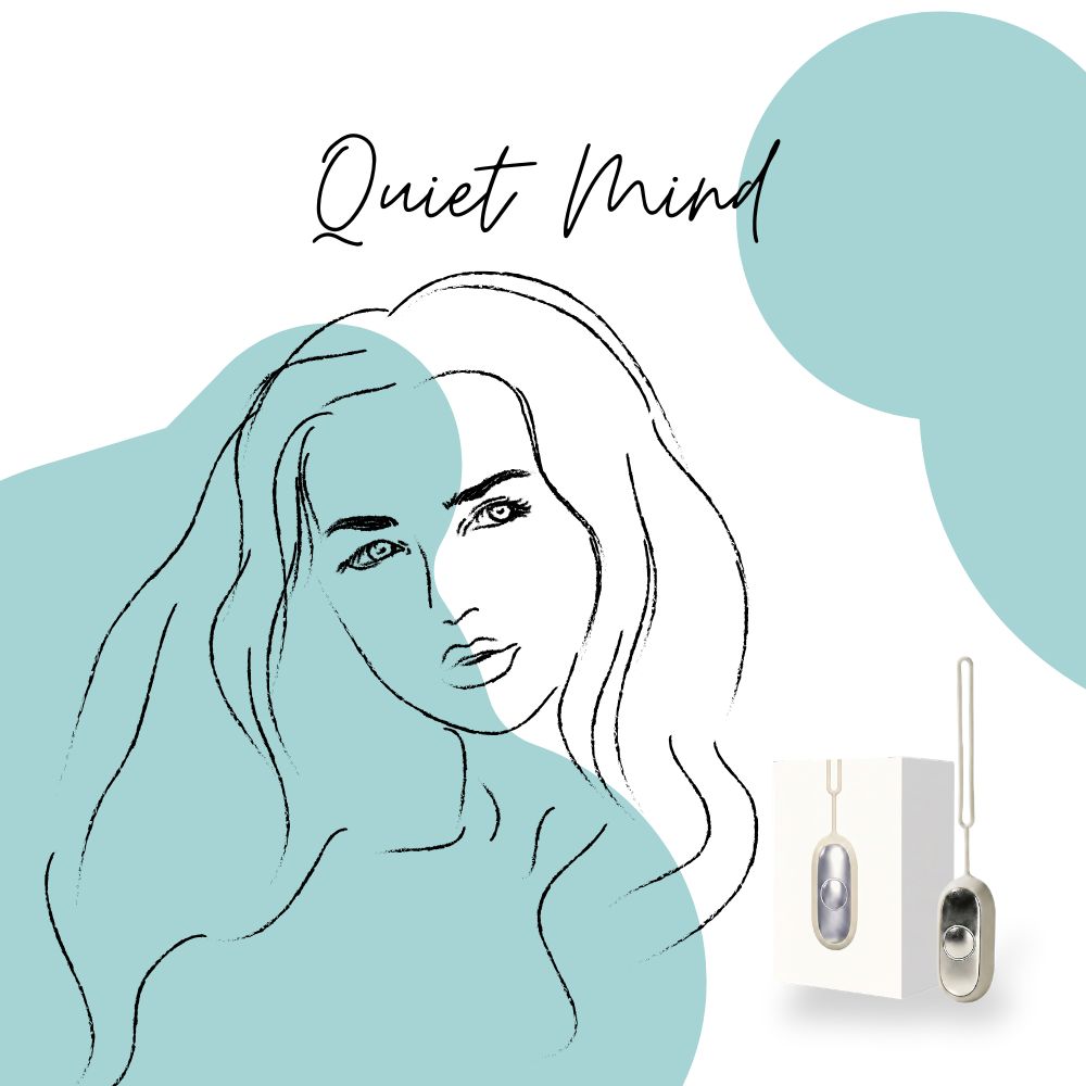 QuietMind Begleit E-Book